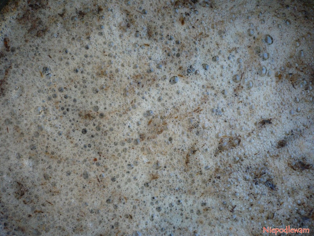 Piana na fermentującym oborniku zalanym wodą. Fot Niepodlewam