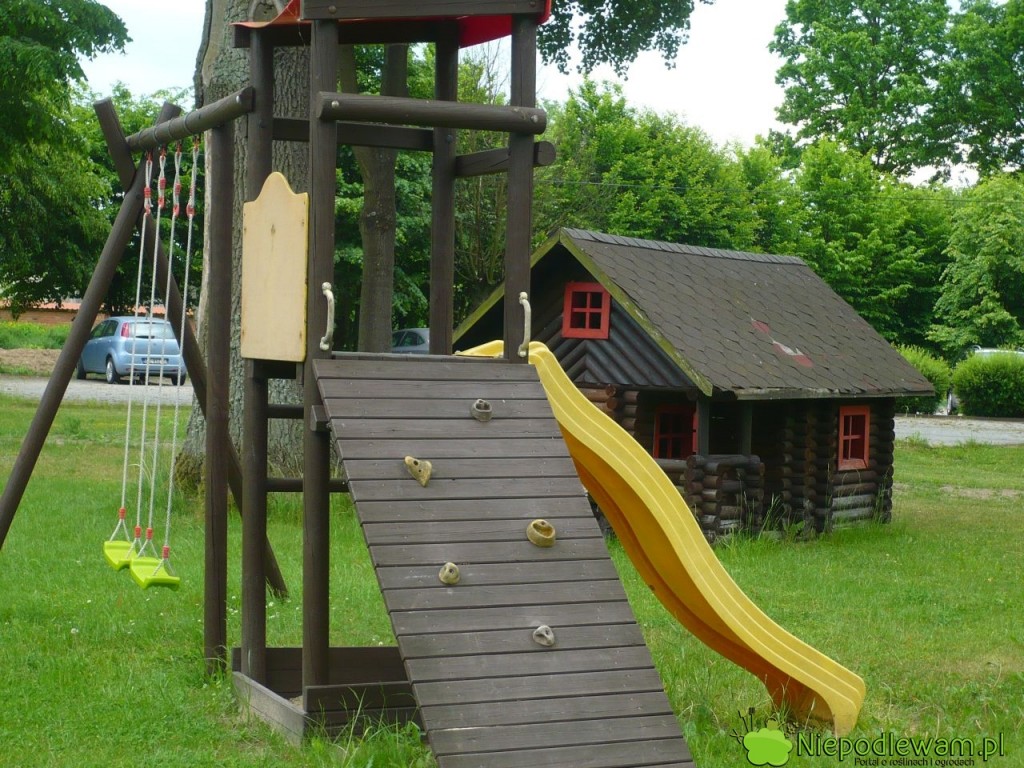 Iglaki trujące nie powinny być sadzone obok placów zabaw. Tutaj dzieci mogą się bawić bezpiecznie. Fot. Niepodlewam