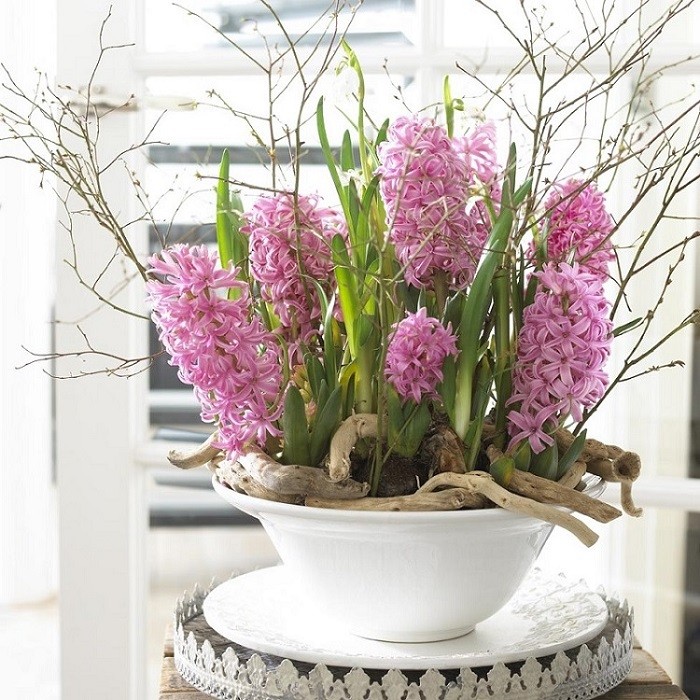 Fot. Flower Council of Holland/thejoyofplants.co.uk