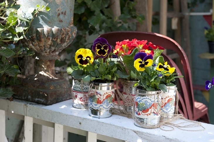 Fot. Flower Council of Holland/thejoyofplants.co.uk