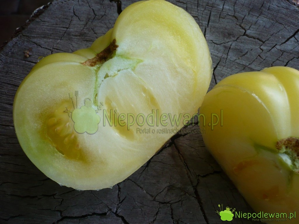 Przekrojony pomidor White Beauty. Piętka jest duża, trzeba ją wycinać. Fot. Niepodlewam