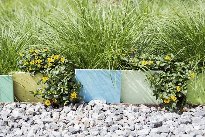 Fot. Flower Council of Holland/thejoyofplants.co.uk