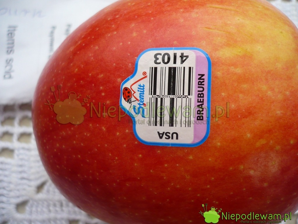 Jabłka Braeburn są bardzo popularne m.in. w sklepach amerykańskich. Fot. Niepodlewam
