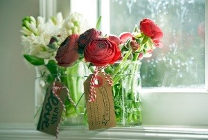 Jaskier azjatycki Aazur Red. Fot. iBulb