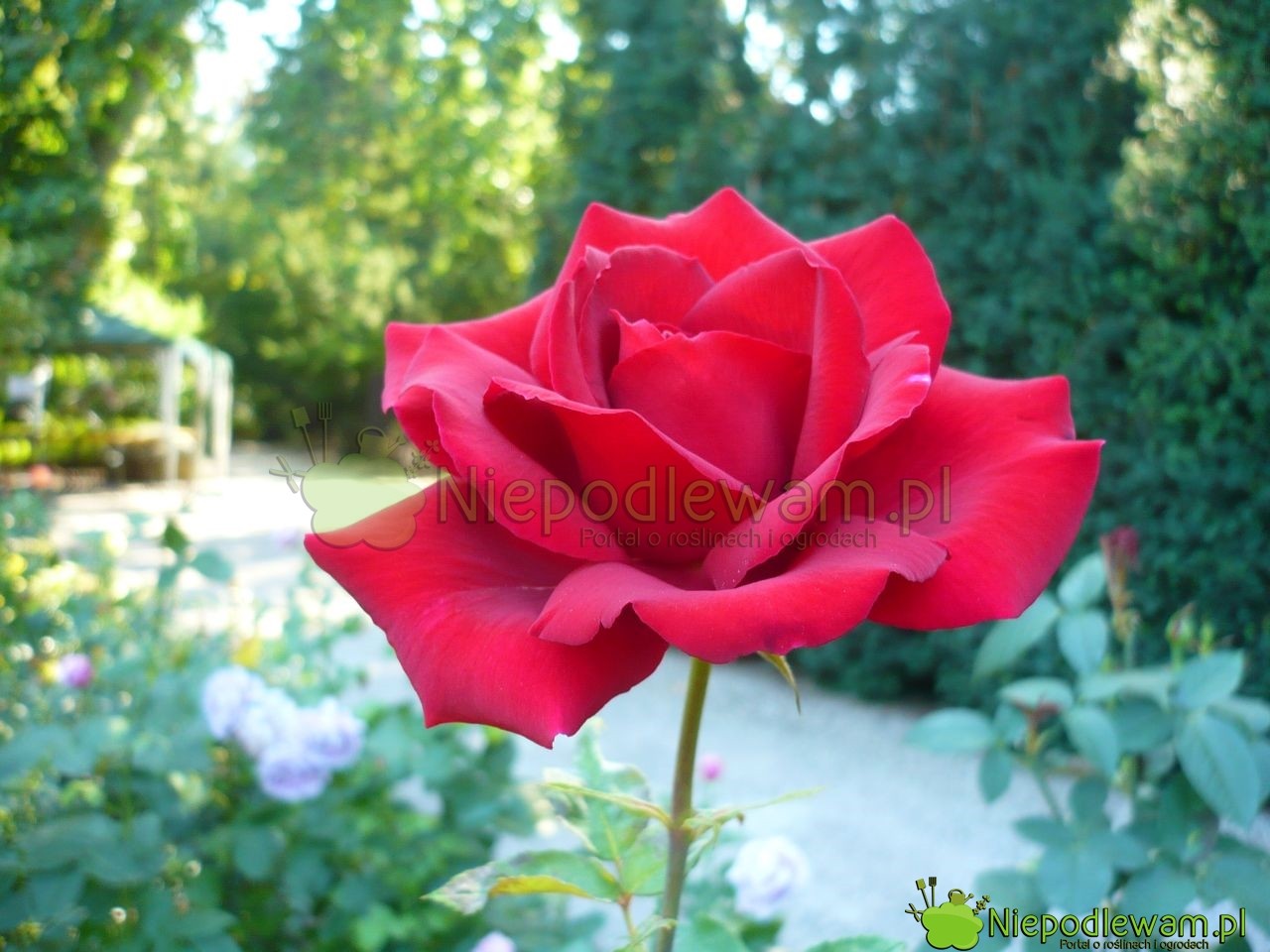 Fisting uyqu porno video